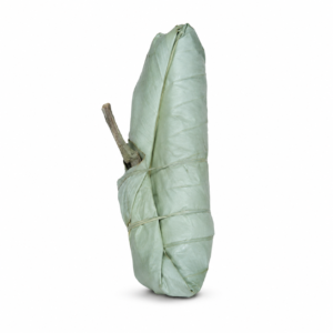 Wrapped Leaf Bundle / Moi Moi Leaves